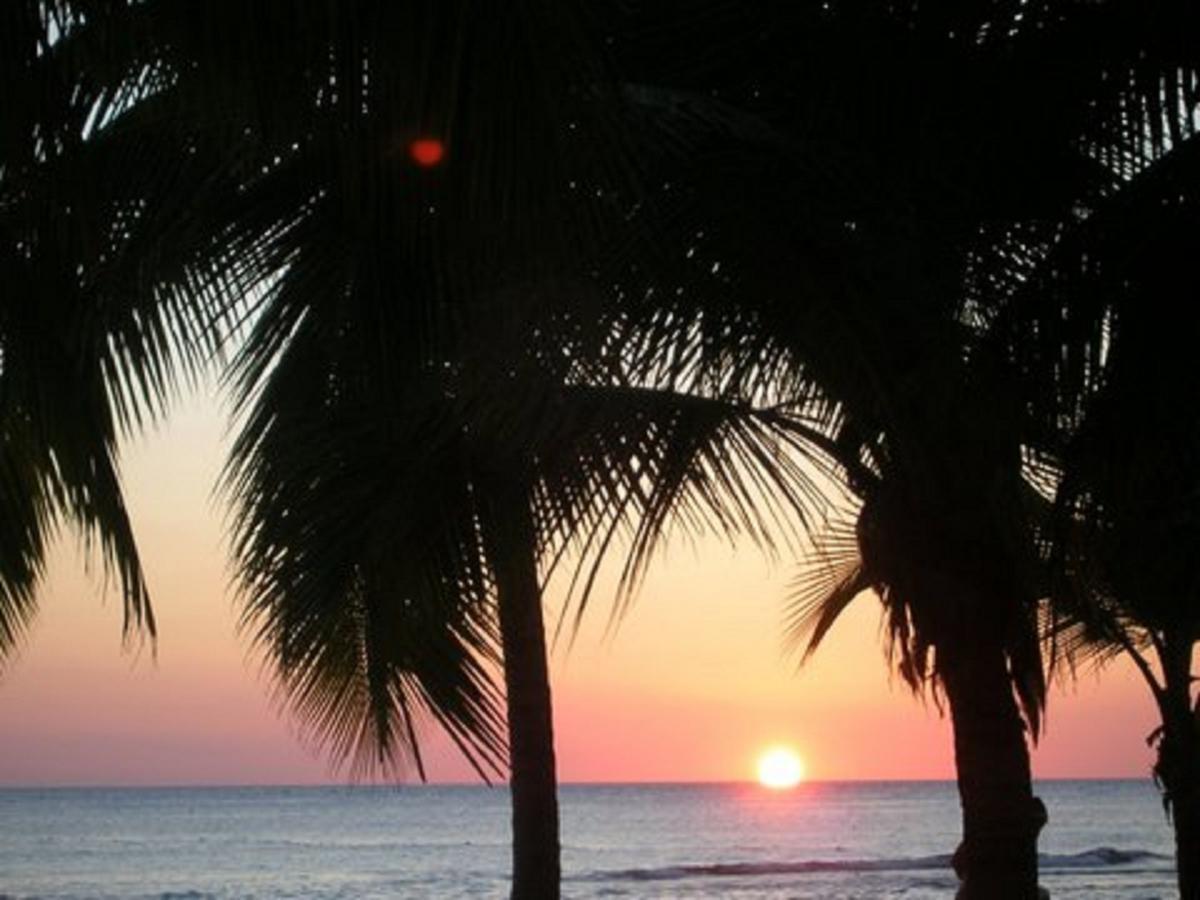 Casa Felicita B&B Y Apartamentos Bayahibe Dış mekan fotoğraf
