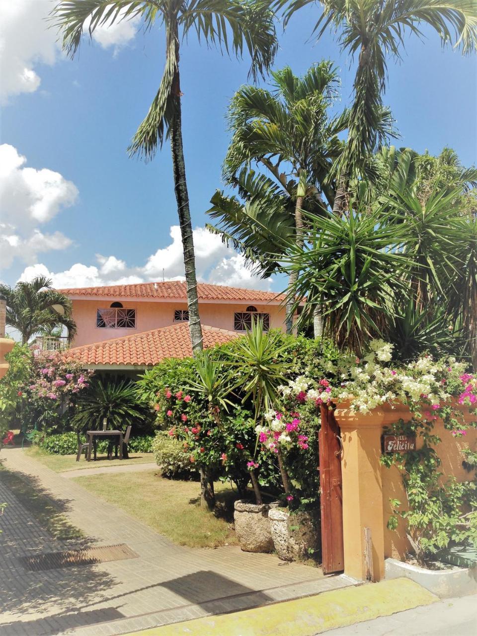 Casa Felicita B&B Y Apartamentos Bayahibe Dış mekan fotoğraf